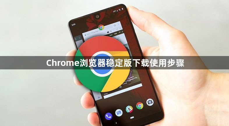 Chrome浏览器稳定版下载使用步骤1