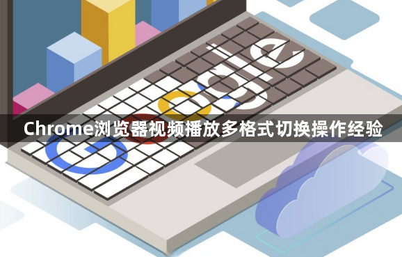 Chrome浏览器视频播放多格式切换操作经验1
