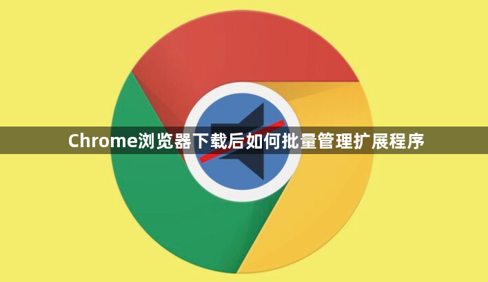 Chrome浏览器下载后如何批量管理扩展程序1