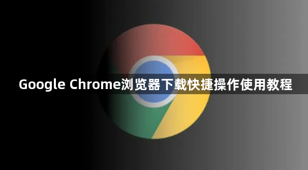 Google Chrome浏览器下载快捷操作使用教程1