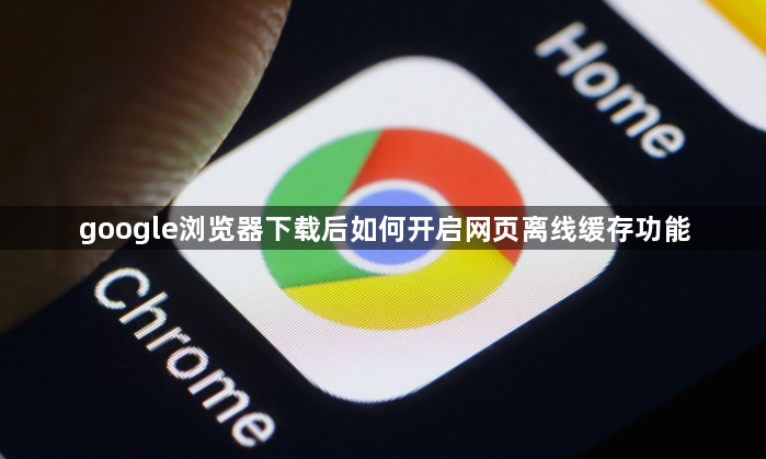 google浏览器下载后如何开启网页离线缓存功能1