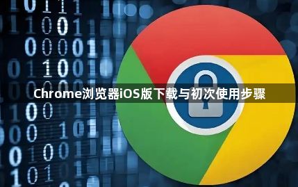 Chrome浏览器iOS版下载与初次使用步骤1