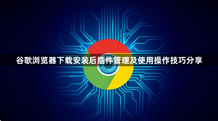 谷歌浏览器下载安装后插件管理及使用操作技巧分享1