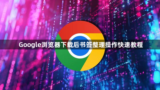 Google浏览器下载后书签整理操作快速教程1