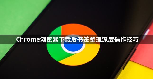 Chrome浏览器下载后书签整理深度操作技巧1