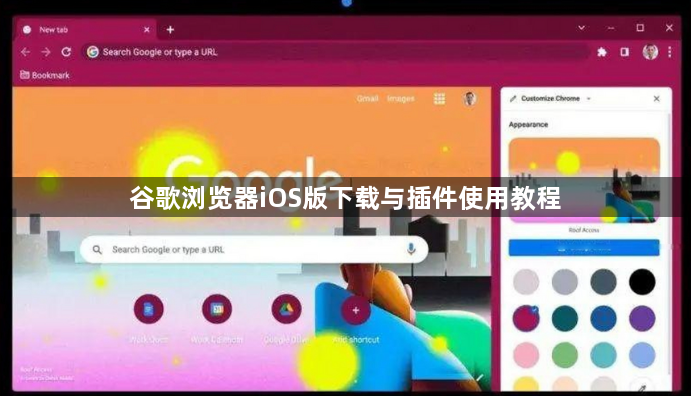 谷歌浏览器iOS版下载与插件使用教程1