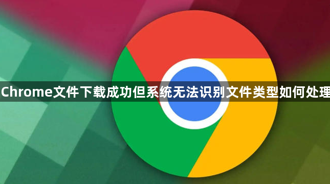 Chrome文件下载成功但系统无法识别文件类型如何处理1