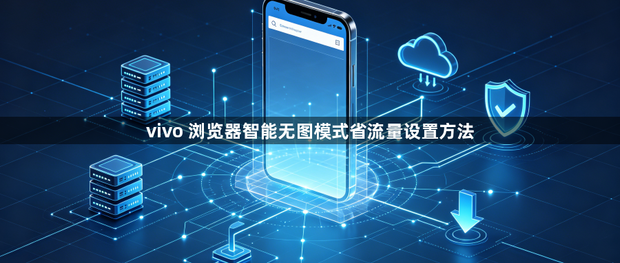 vivo 浏览器智能无图模式省流量设置方法1