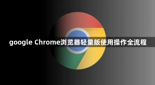 google Chrome浏览器轻量版使用操作全流程1